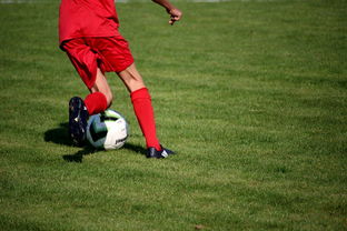 米兰体育网页版-体育赛事对本地旅游消费的带动作用,体育赛事对城市旅游的促进作用