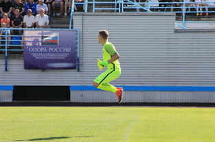 AC Milan官方APP下载-校园体育场馆智能维护与节能技术应用,校园体育场馆智能维护与节能技术应用实践报告